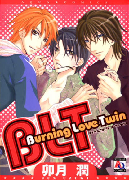 Burning Love Twin обложка